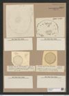 Stephanopyxis oculeata Grun. (de-Toni-Nr.: Genus 187, Species 4635) Zeichnungen Sammlung Grunow Nr. 8289 (NHMW-BOT-W0377687)